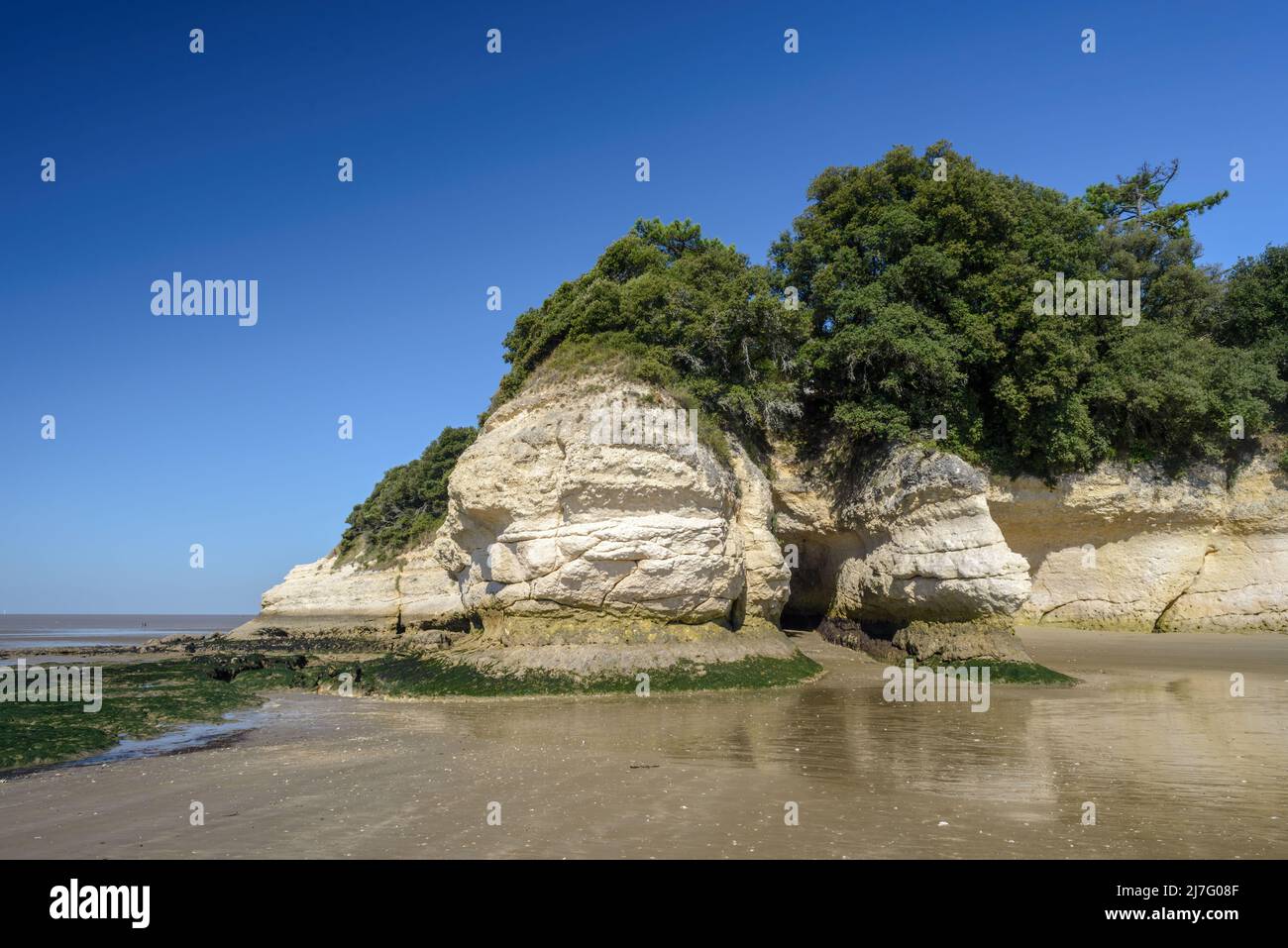 Strand in Charente-Maritime, Frankreich mit erodiertem Sedimentgestein an der Küste der Gironde-Mündung in Meschers-sur-Gironde an der Westatlantikküste Stockfoto