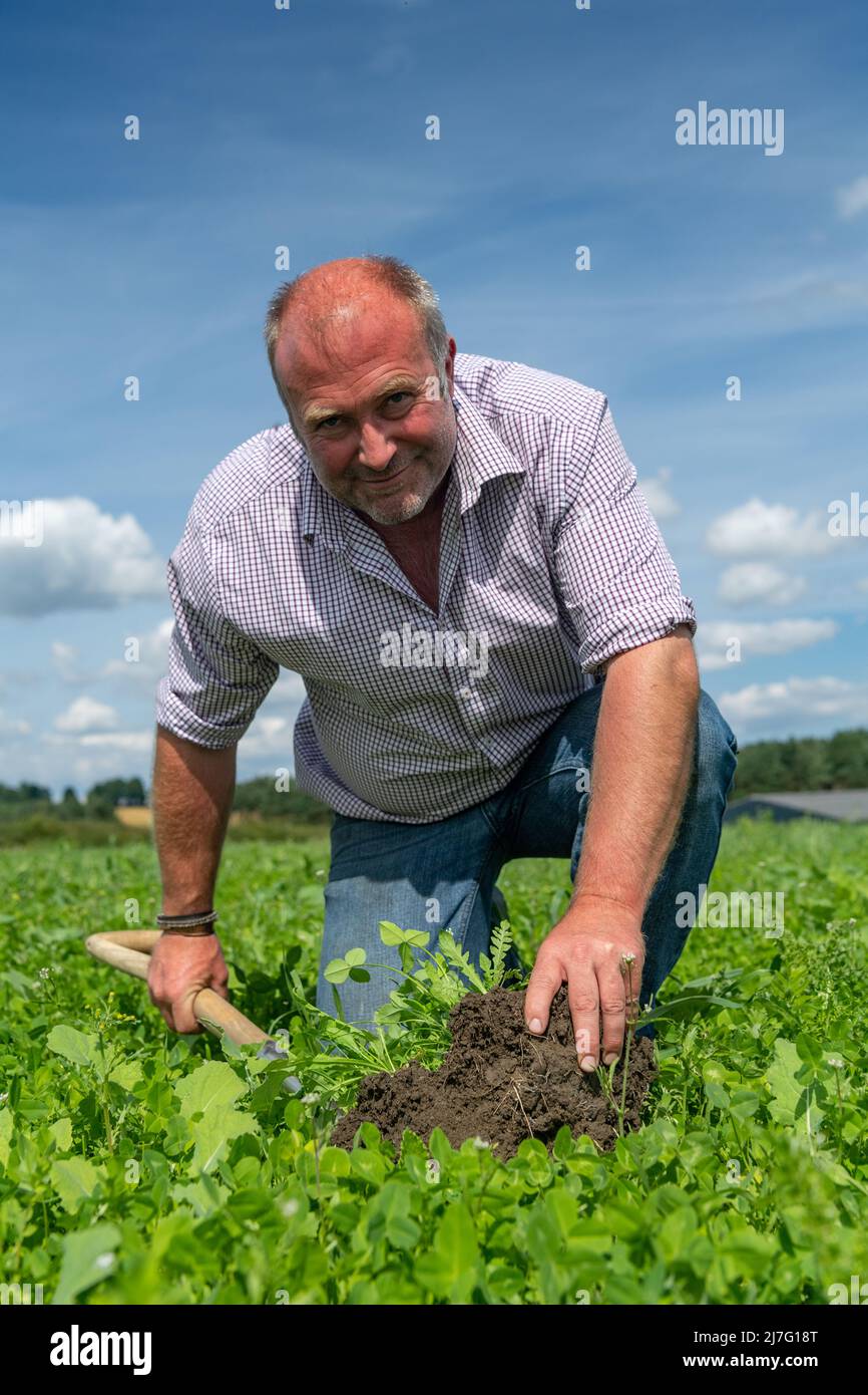 Landwirt, der sich die Bodenstruktur in einem Probegrundstück ansieht und sich anschaut, wie man die Bodenqualität verbessert und den Input senkt. Durham, Großbritannien. Stockfoto
