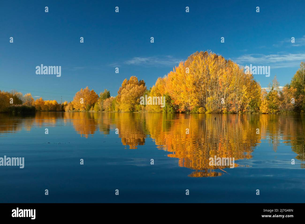 Herbstreflexionen in Kellands Pond, in der Nähe von Twizel, Mackenzie District, North Otago, South Island, Neuseeland Stockfoto