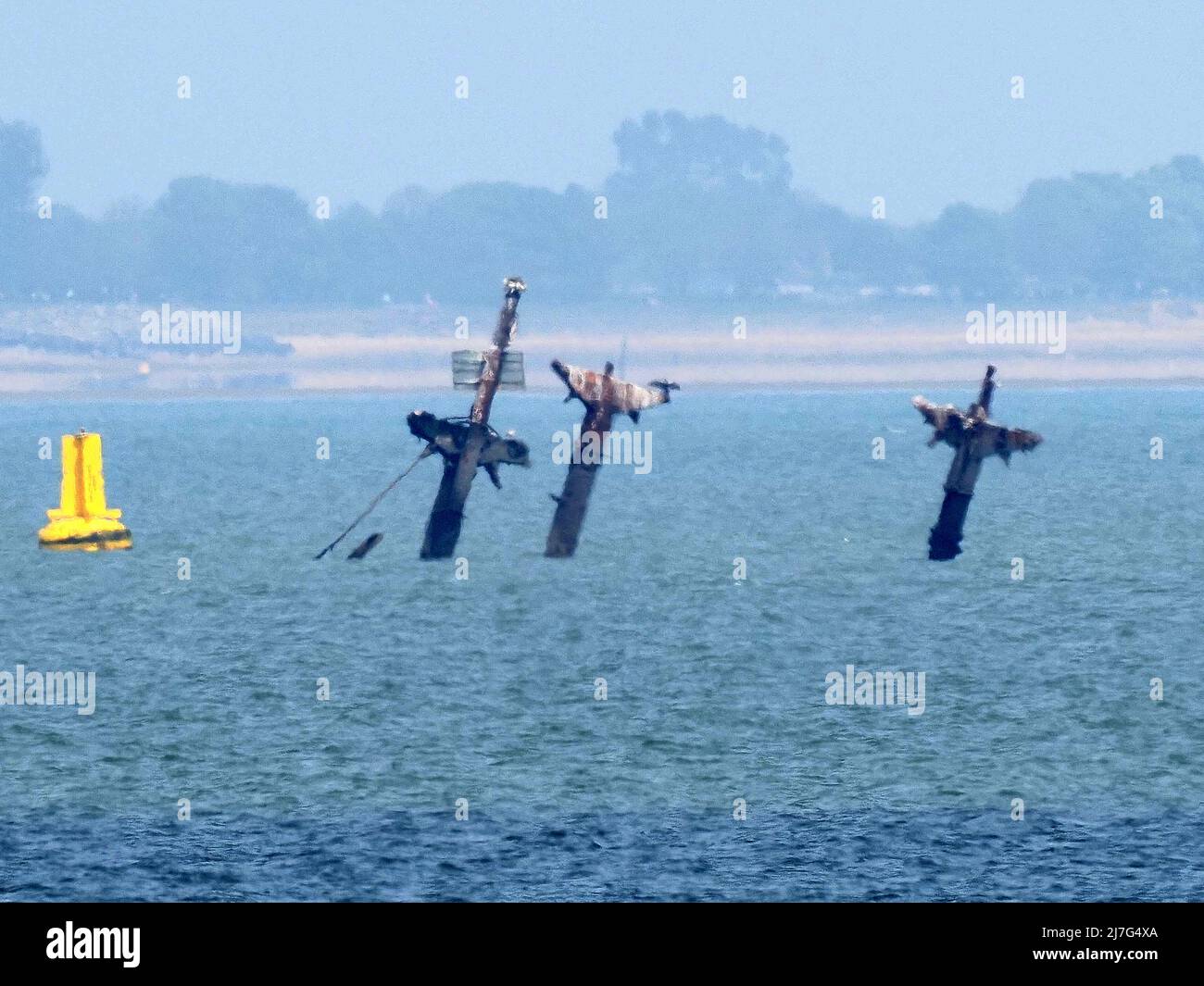 Sheerness, Kent, Großbritannien. 9.. Mai 2022. BBC London berichtet heute über Londons unwahrscheinlichste Touristendestination - das Schiffswrack der SS Richard Montgomery in der Themse, 1,5 Meilen vor Sheerness, Kent -, bei dem seine Masten im Juni entfernt werden sollen. Das Wrack, das heute Nachmittag bei Ebbe abgebildet wurde - ein Kormoran kann einfach auf dem Mittelmast sitzend ausgemacht werden, der seine Flügel in der Sonne trocknet. Kredit: James Bell/Alamy Live Nachrichten Stockfoto