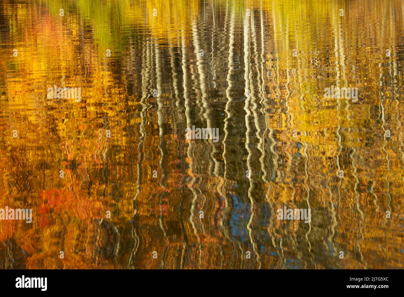 Herbstreflexionen in Kellands Pond, in der Nähe von Twizel, Mackenzie District, North Otago, South Island, Neuseeland Stockfoto