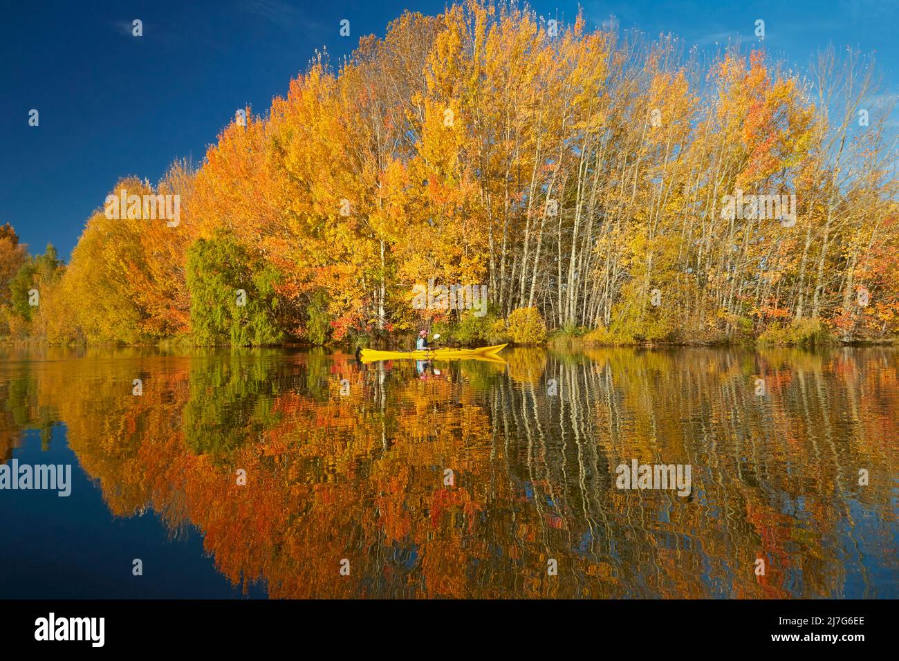 Kajak- und Herbstreflexionen in Kellands Pond, in der Nähe von Twizel, Mackenzie District, North Otago, South Island, Neuseeland (Modellversion) Stockfoto
