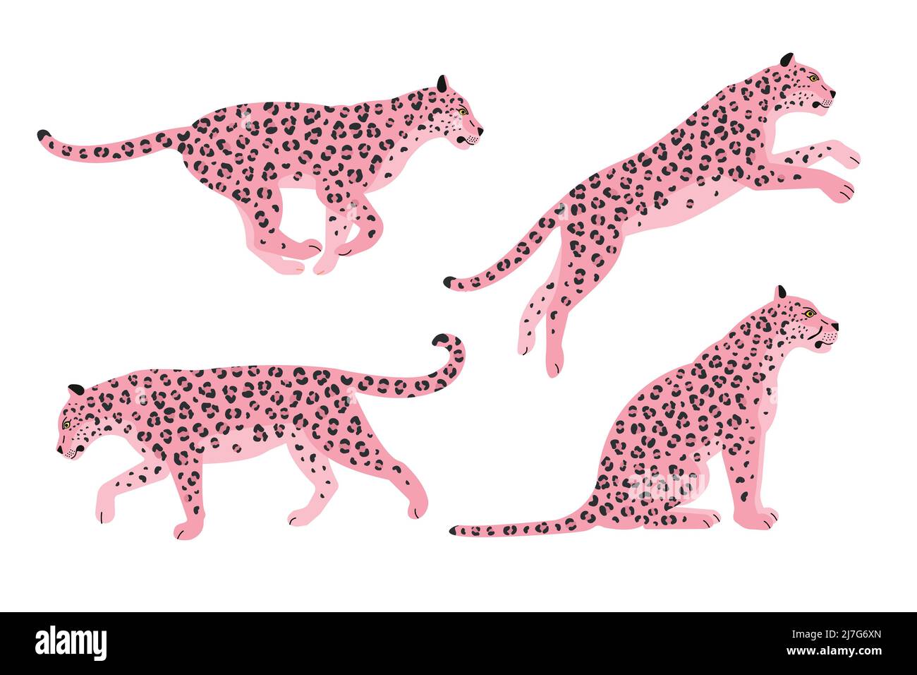 Vektor-Set von flachen rosa Leoparden isoliert auf weißem Hintergrund Stock Vektor