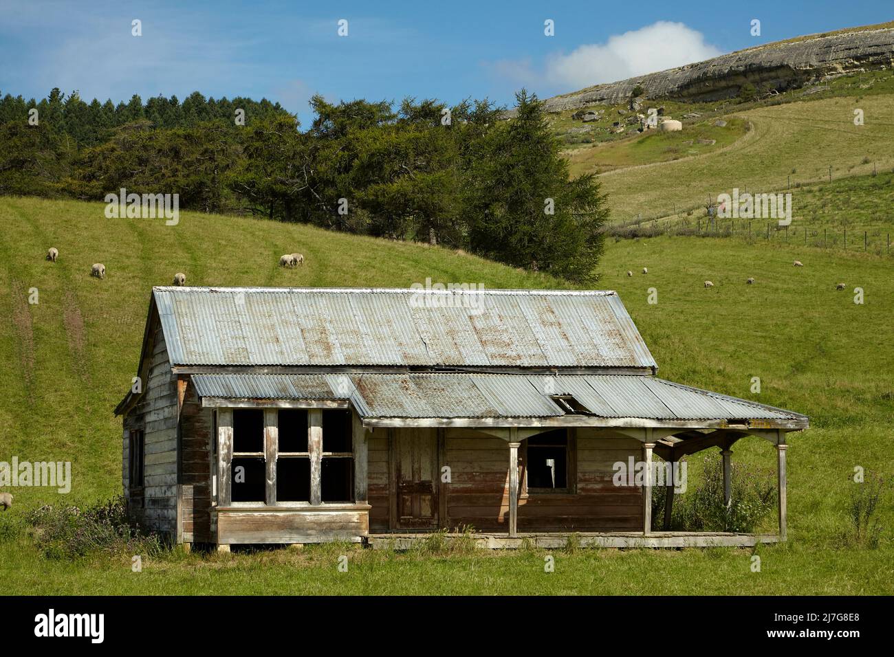 Verwelktes Haus und Ackerland, in der Nähe von Tokarahi, North Otago, Südinsel, Neuseeland Stockfoto