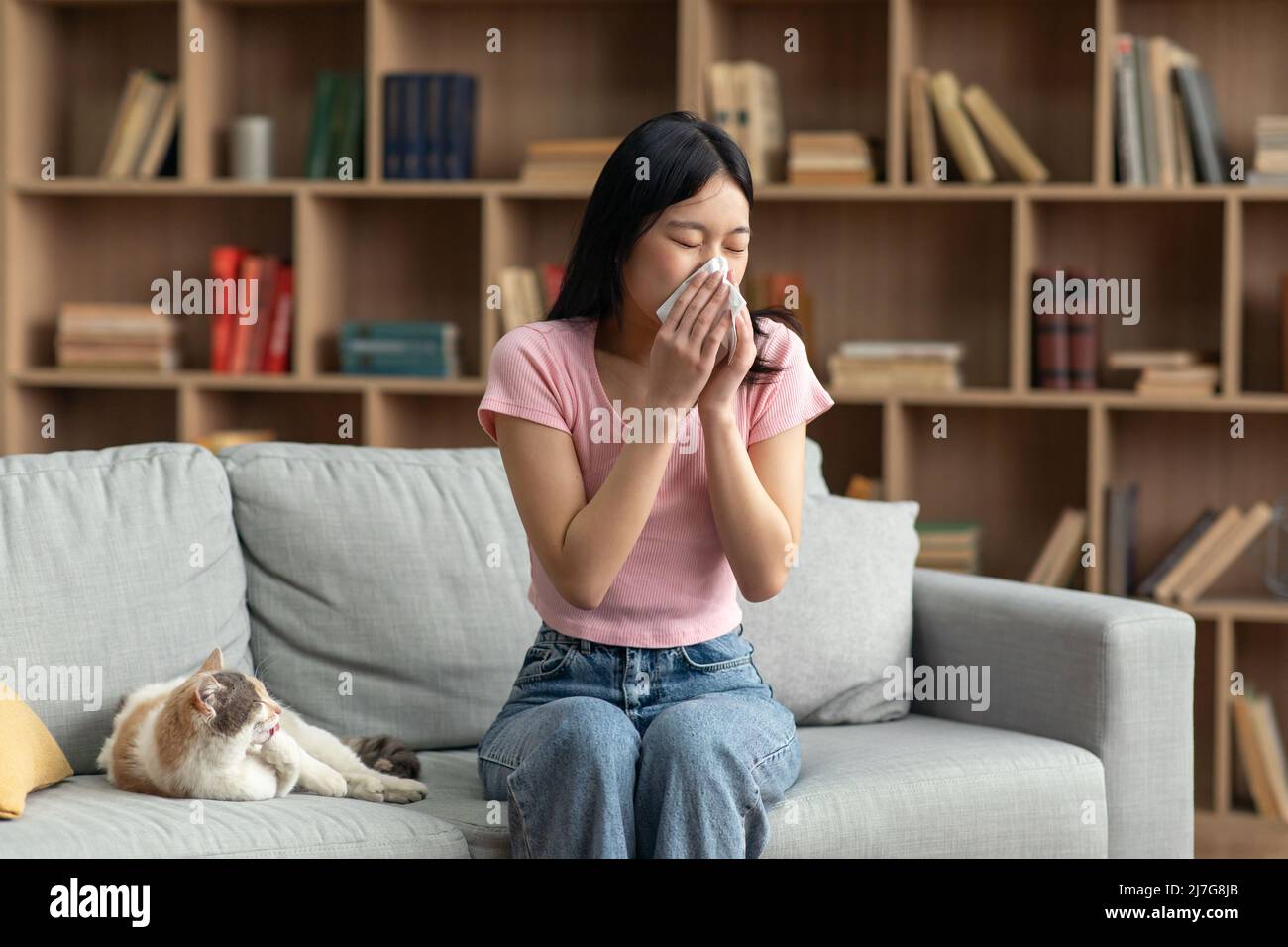 PET-Allergiekonzept. Die junge koreanische Frau niest und hält Papiergewebe und leidet unter einer durch ihre Katze verursachten, laufenden Nase Stockfoto