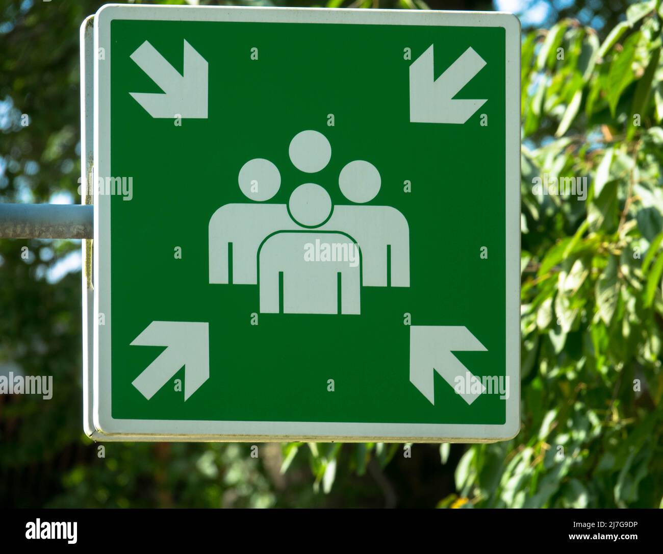 Grün und weiß Montagepunkt Zeichen mit Baum Hintergrund, Zeichen wird verwendet, um Menschen zu sammeln und sie an einen sicheren Ort im Falle einer Evakuierung zu entfernen. Stockfoto
