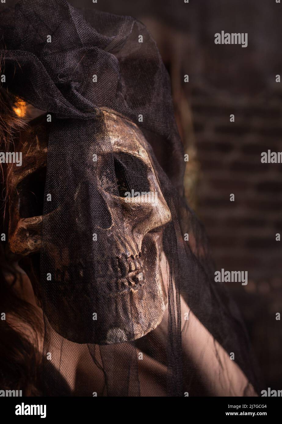 Halloween. Menschlicher Schädel in den Händen des Mädchens. Unter einem schwarzen Schleier Stockfoto