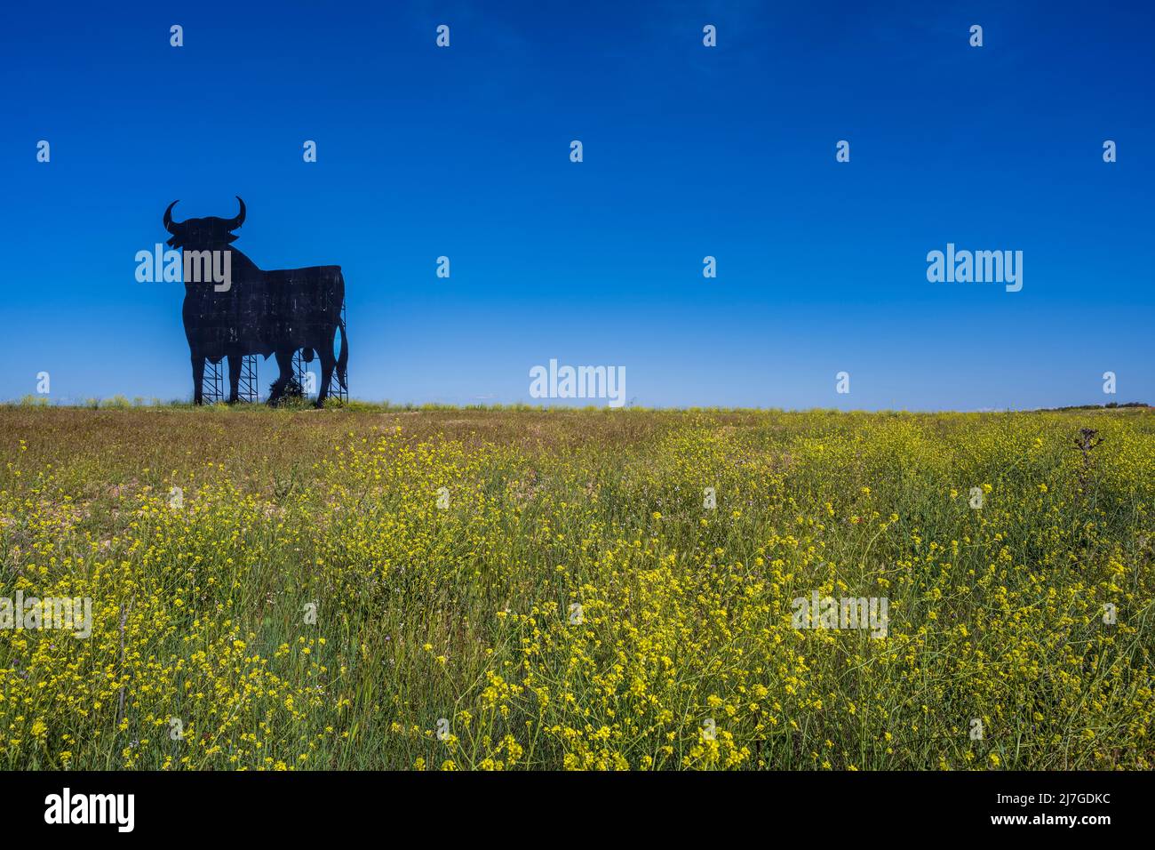 Malerische Frühlingslandschaft mit einem Silhouettenbild einer Osborne-Bullenwerbung im ländlichen Castilla-La Mancha, Spanien Stockfoto