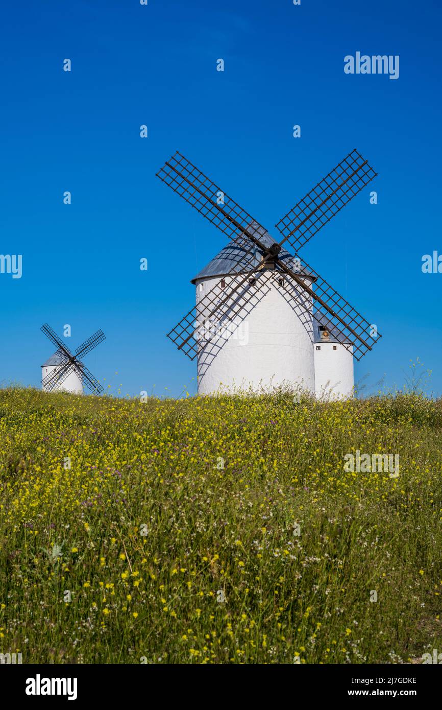 Typische Windmühlen, Campo de Criptana, Castilla-La Mancha, Spanien Stockfoto