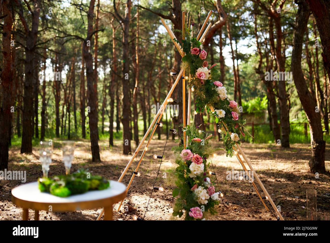 Böhmischer Tipi-Bogen aus Holzstäben, verziert mit rosa Rosen, Kerzen auf dem Teppich, Pampass-Gras, eingewickelt in Lichterketten auf der Hochzeit im Freien Stockfoto