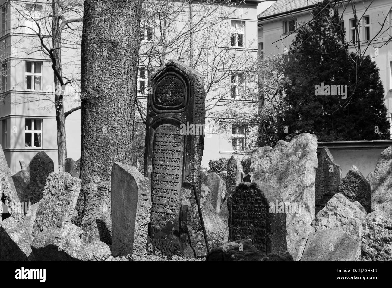 Alte Grabsteine auf dem Alten Jüdischen Friedhof, Jüdisches Viertel, Prag Stockfoto