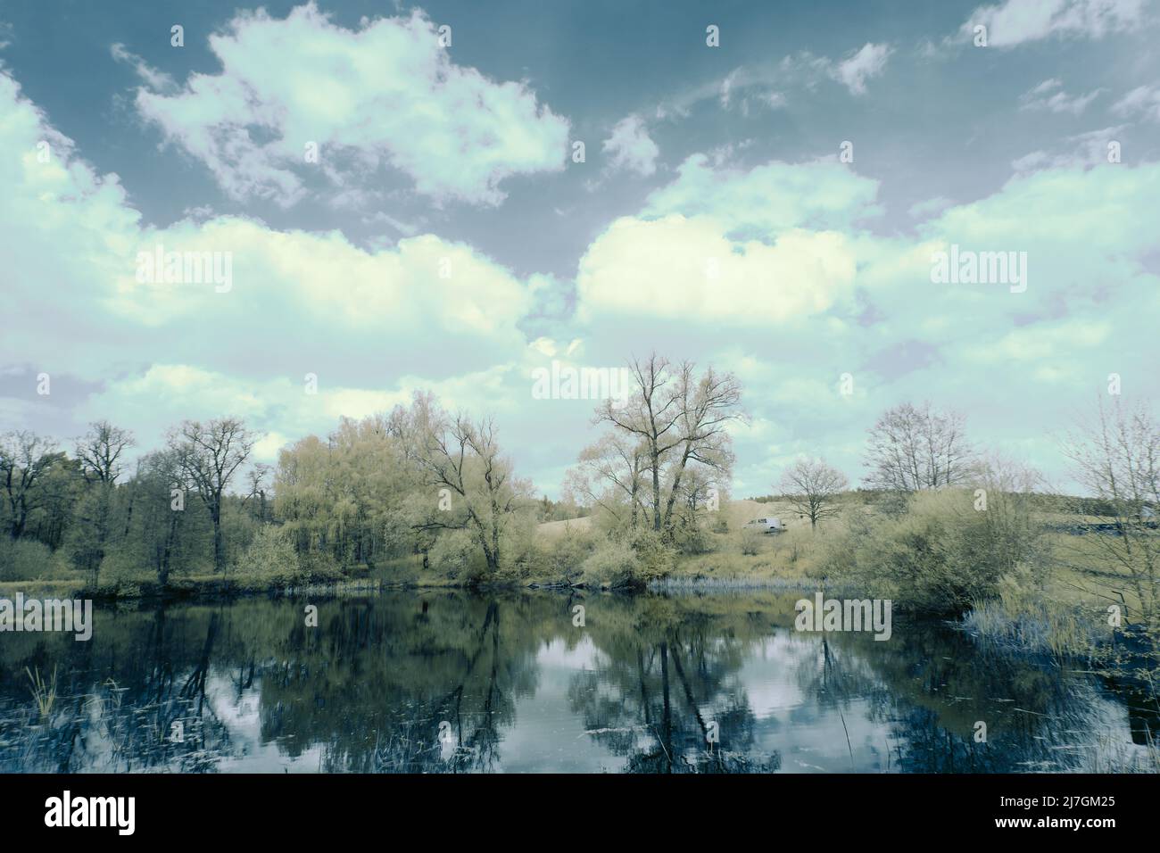 Infrarotlandschaft mit leuchtend weißer Vegetation mit 720-nm-Filter, surreale Naturszene mit Bäumen und Hügeln in Falschfarben-Fotografie Stockfoto