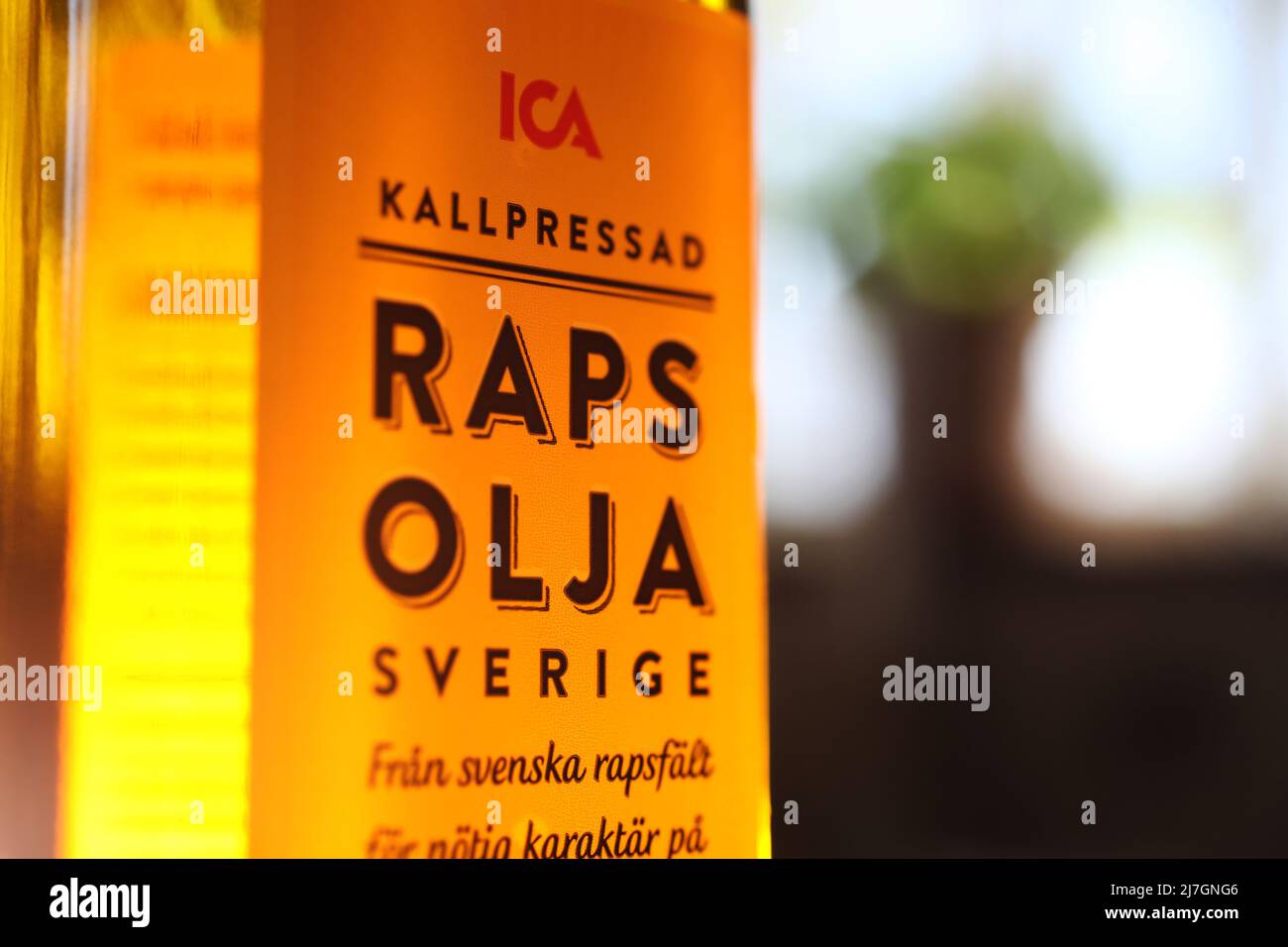 Rapsöl (auf schwedisch: Rapsolja) aus schwedischen Rapsfeldern, fotografiert in einem schwedischen Zuhause. Stockfoto