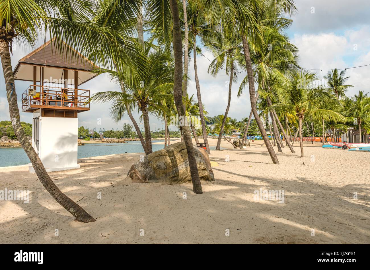 Palmen am Siloso Beach auf der Insel Sentosa, Singapur Stockfoto