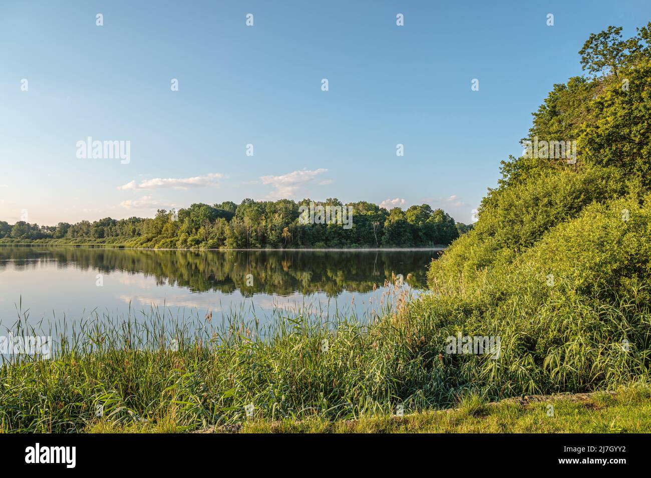Moritzburg Seenlandschaft im Sommer, Sachsen, Deutschland Stockfoto