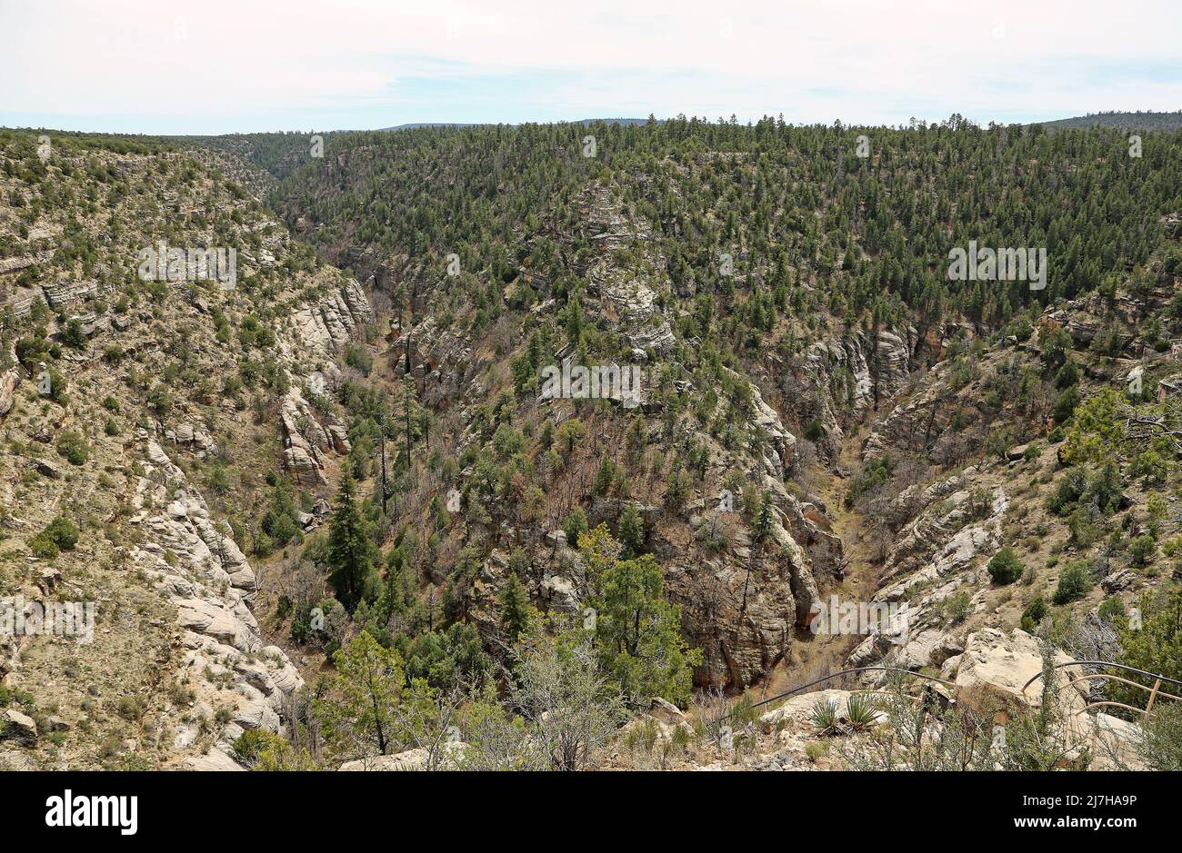 Walnut Canyon, Arizona Stockfoto