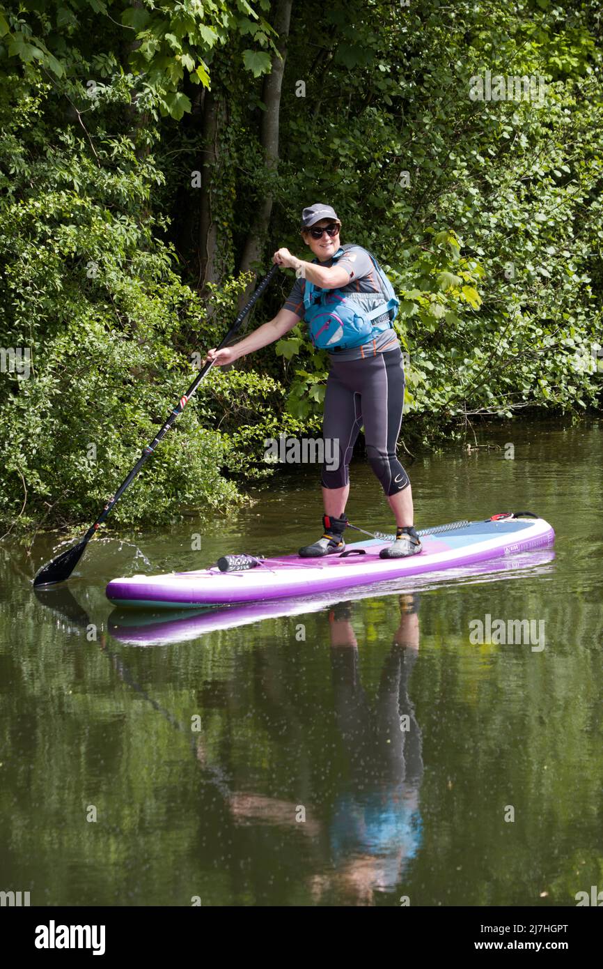 Paddle Boarder River Stort Harlow Essex Stockfoto