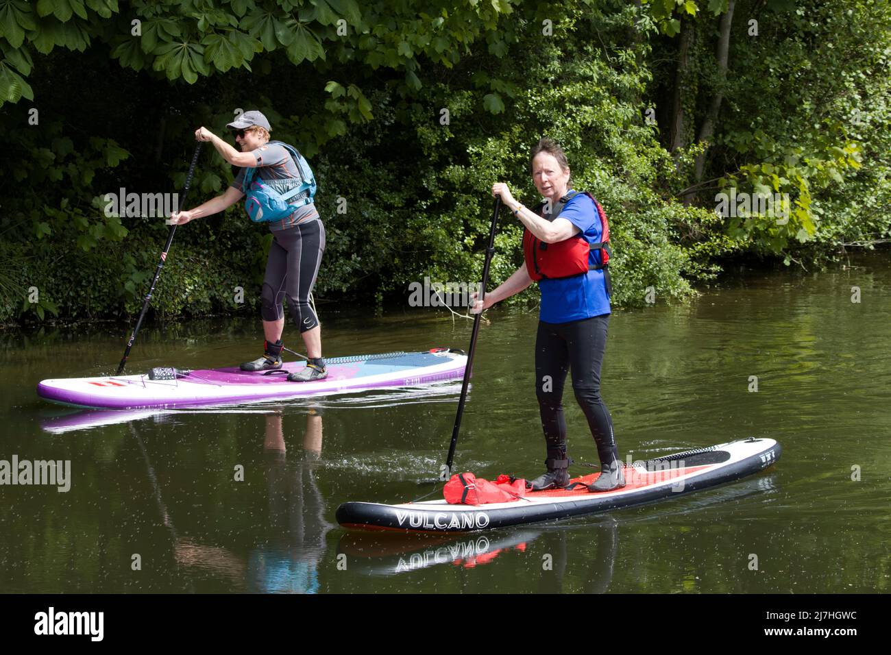 Paddelboarder River Stort Harlow Essex Stockfoto