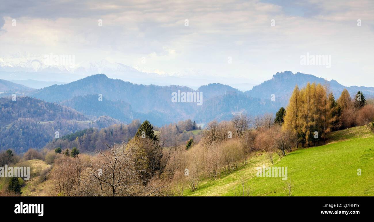 Pienin Berge Landschaft, Gebirge an der Grenze zu Polen und der Slowakei, Polen. Stockfoto