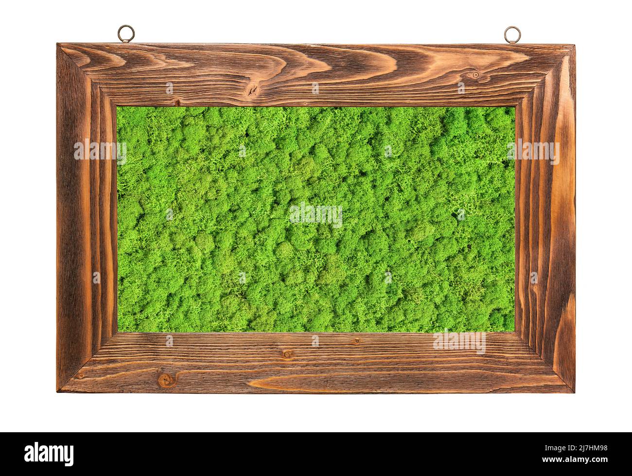 Grün erhaltene Moos eingerahmt, isoliert auf weißem Hintergrund Stockfoto