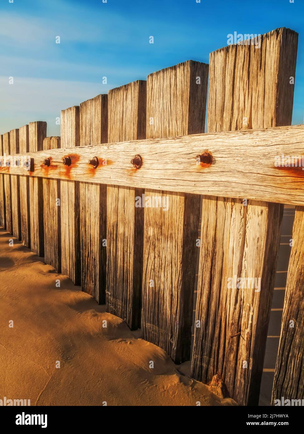 Verwitterte hölzerne Zaunpfosten in Sand, die als Groyne verwendet wurden Stockfoto