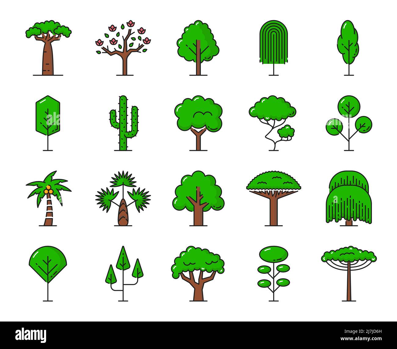 Grüne tropische Bäume Ikonen. Strand-, Dschungelwald- und Parkbäume isolierte Vektorsymbole. Palmengarten mit Eiche, Baobab und Kiefer oder Kaktus, yucca aus dem afrikanischen Regenwald und exotischer Kokospalme Stock Vektor