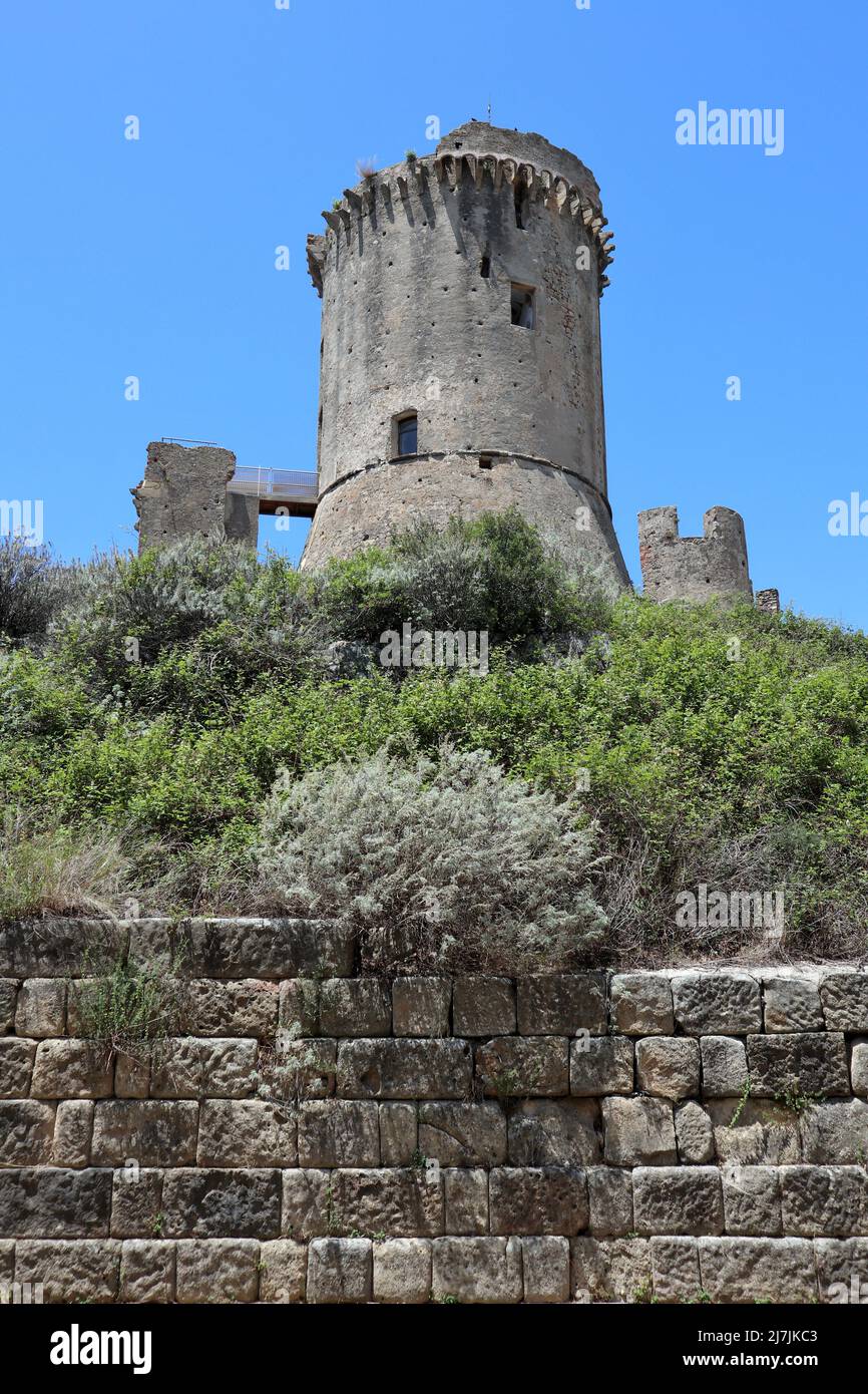 Elea velia Fotos und Bildmaterial in hoher Auflösung Alamy