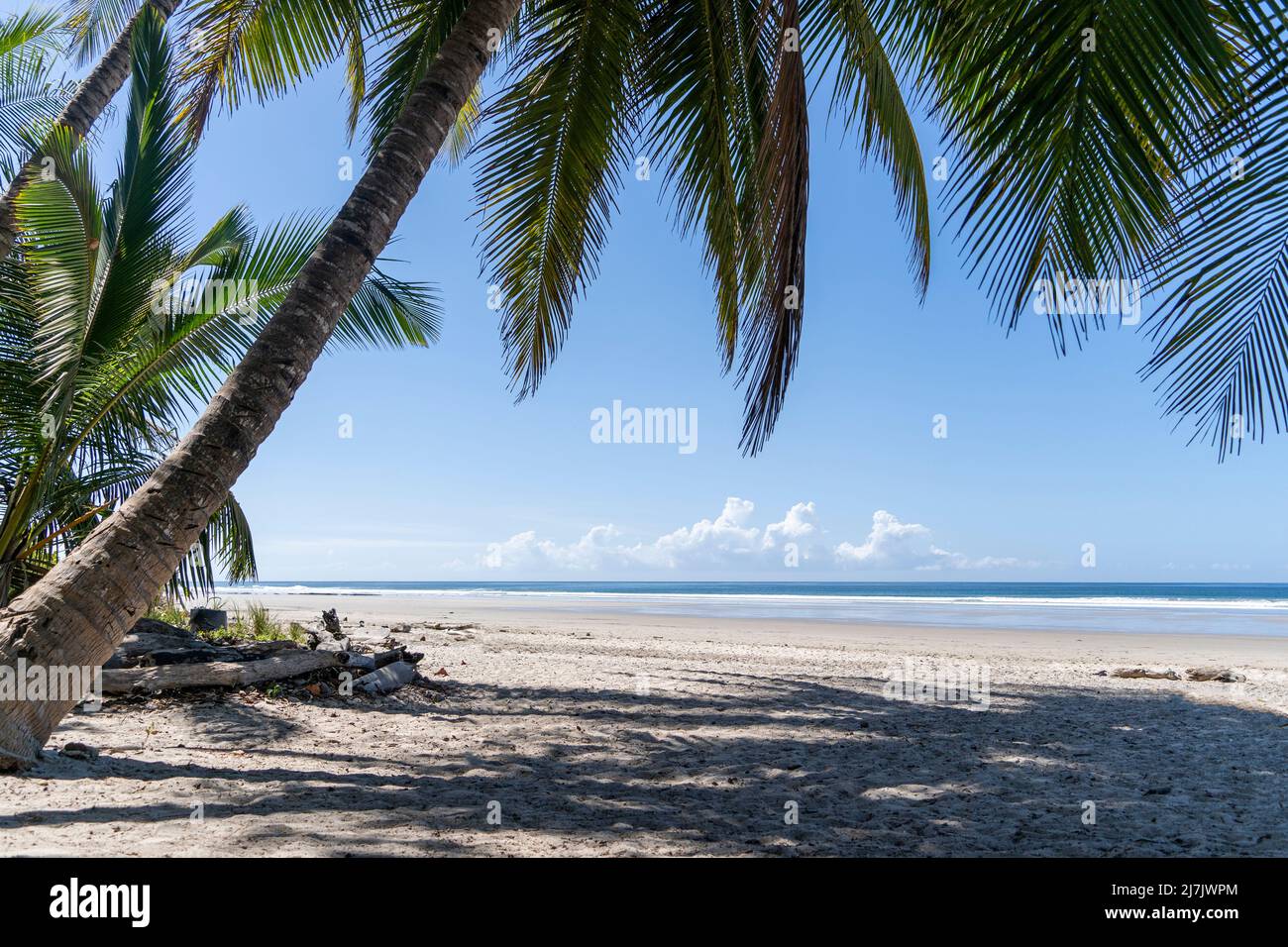 Wunderschöner Strand mit Palmen, Meer, Wellen und Surfern. Tropischer exotischer Strand Hintergrund Stockfoto