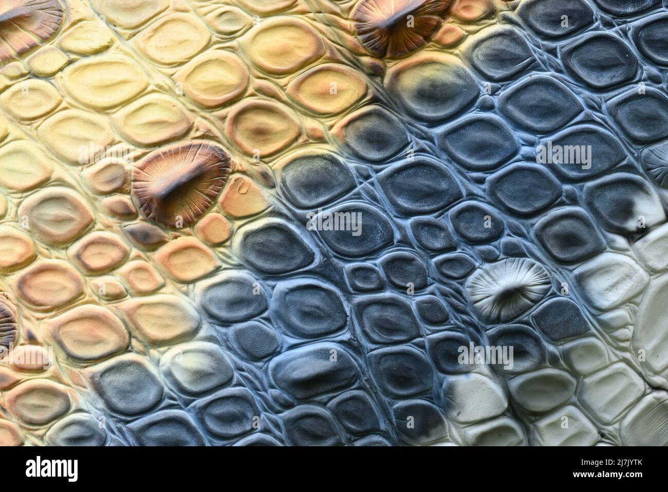 Rekonstruktion von Details der schuppten Haut des prähistorischen Dinosauriers Stockfoto