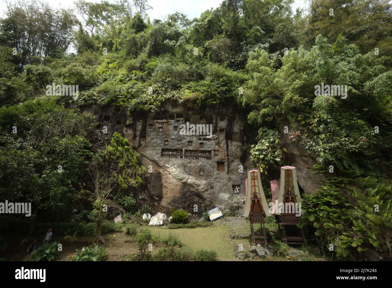 Cliff diente als traditionelle Grabstätte in Lemo, Nord-Toraja, Süd-Sulawesi, Indonesien. Stockfoto