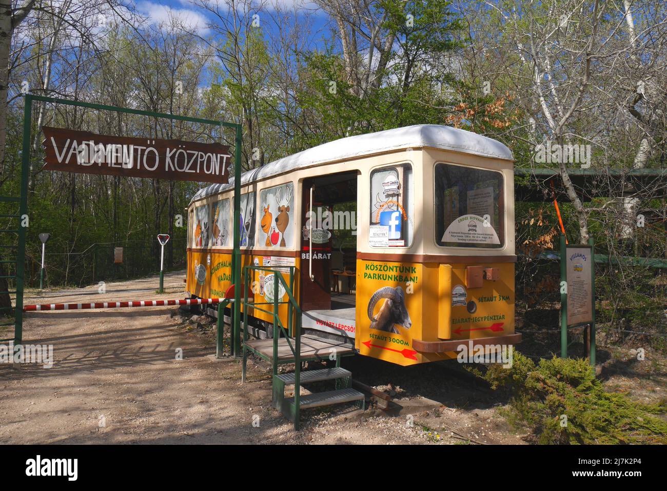 Die alte Budapester Straßenbahn diente als statische Ausstellung und als Eingang zu einem Naturspaziergang, Szigethalom Vadaspark, Ungarn Stockfoto