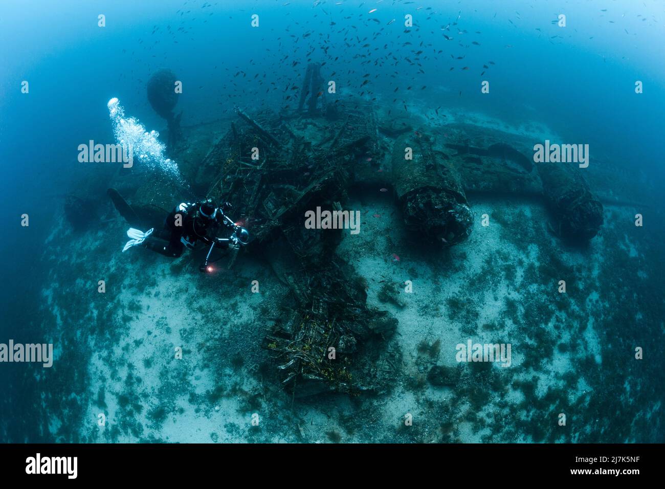 Scuba Diving auf der B-24 Liberator Bomber Wrack, Insel Vis, Mittelmeer, Kroatien Stockfoto