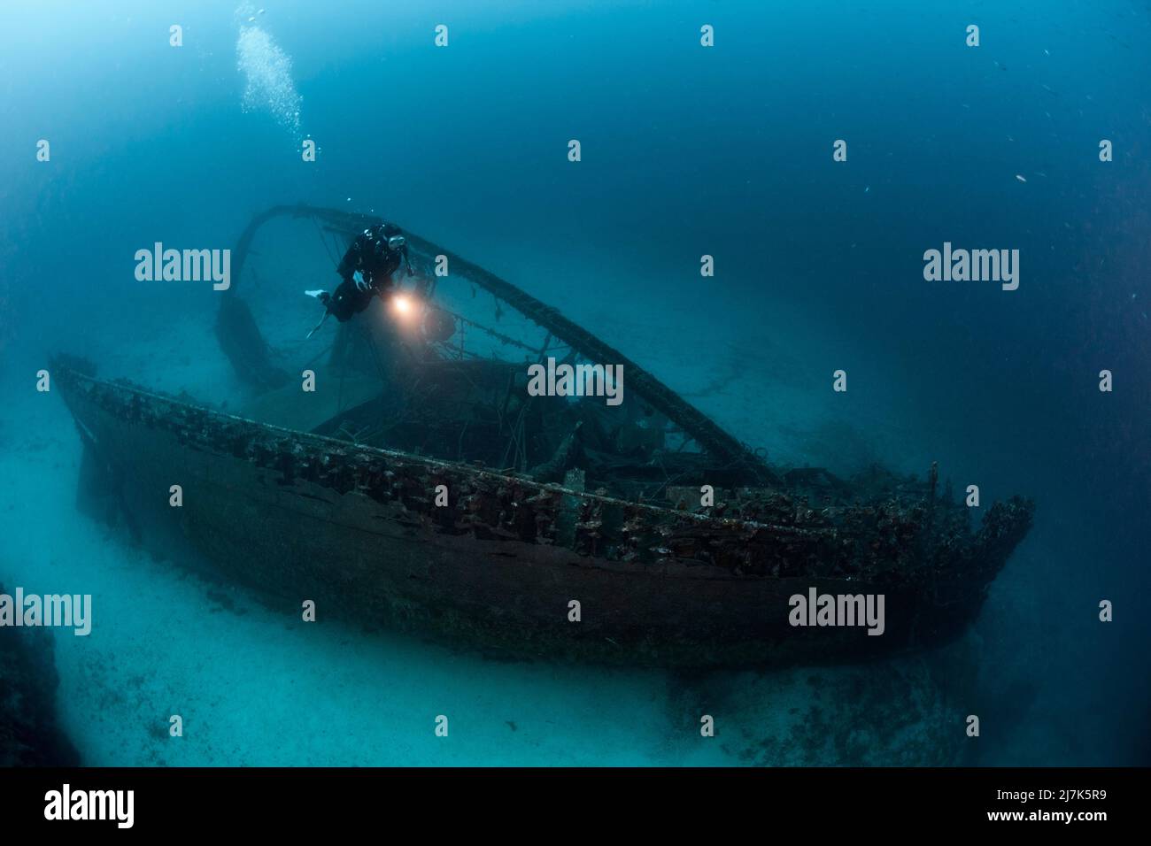 Tauchen im Fortunal Wrack, Insel Vis, Mittelmeer, Kroatien Stockfoto