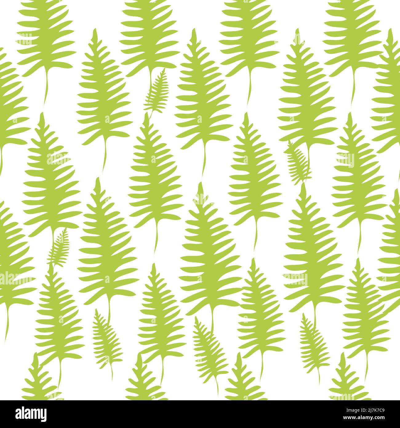 Nahtloses Muster mit Farnblättern. Botanischer Hintergrund. Vektorgrafik. Stock Vektor