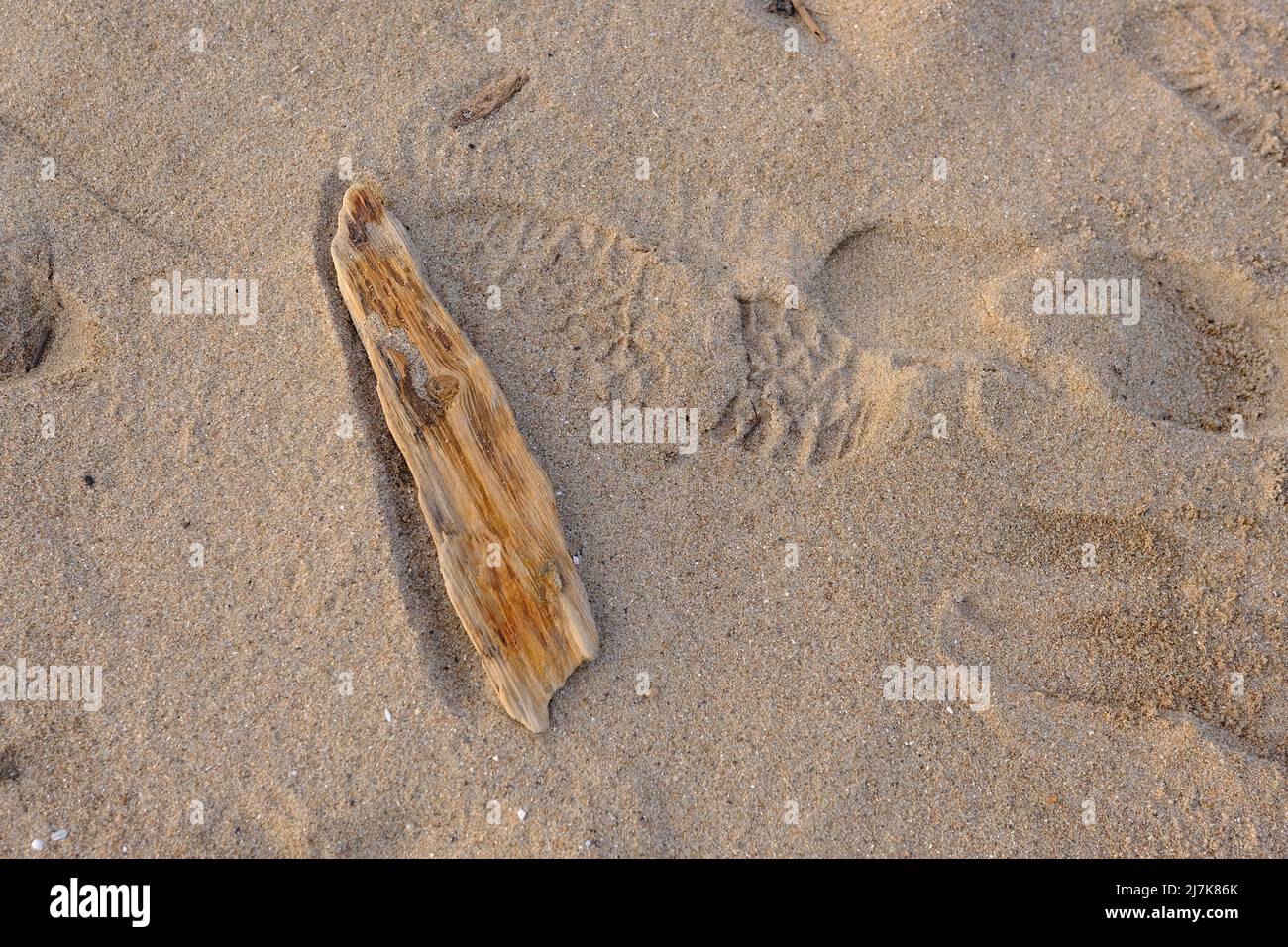 Altes Holzstück am Sandstrand mit Aufdruck von Schuhen bei Sonnenuntergang Stockfoto