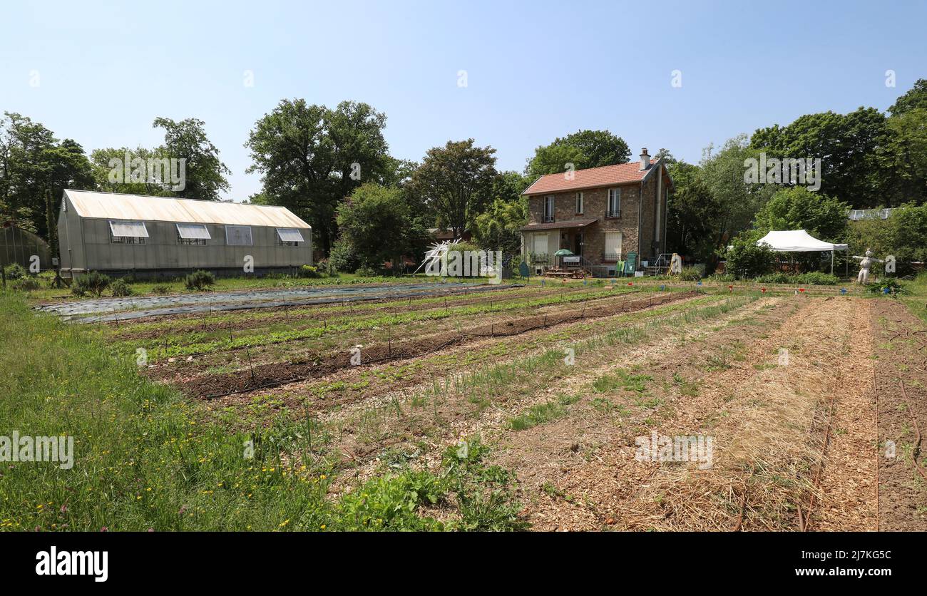TROPISCHER AGRARGARTEN, PARIS Stockfoto