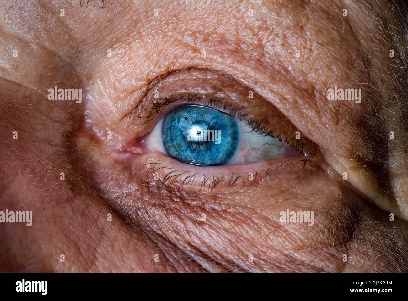 Nahaufnahme, Makrofoto einer älteren Frau mit blauen Augen, Iris, Pupille, Augenlaschen, Augenlidern. Hochwertige Fotos Stockfoto