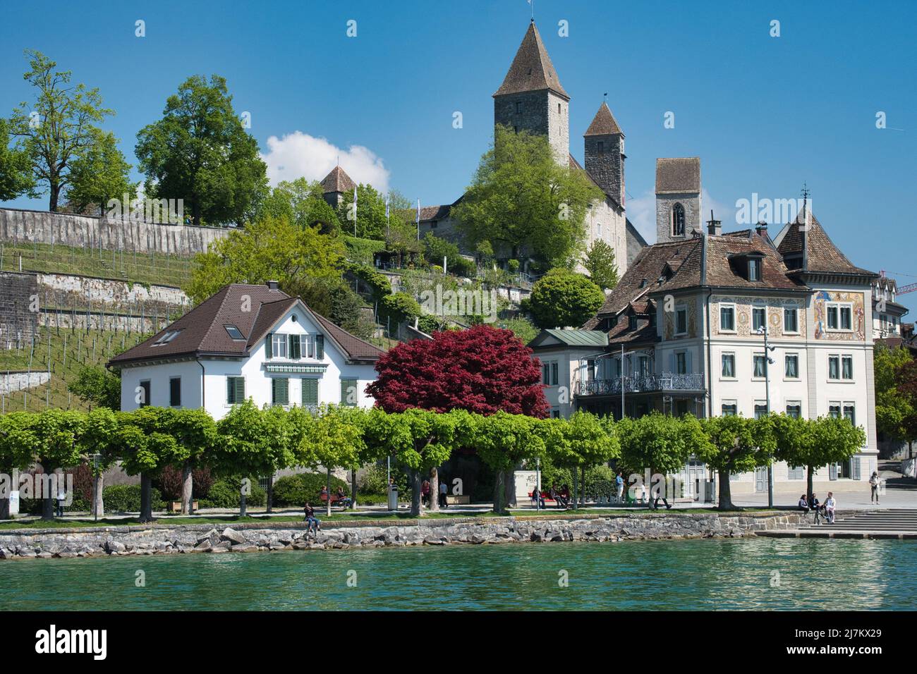 SCHLOSS RAPPERSWIL JONA ÜBER HÄUSERN UND WEINBERGEN AM ZÜRICHSEE, SCHWEIZ Stockfoto