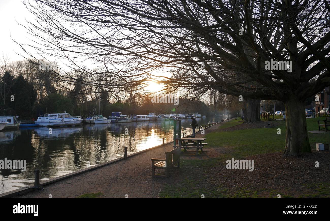 Der Fluss Yare ist Teil der Norfolk Broads in der Abenddämmerung mit Booten vor Anker, Thorpe St Andrew, Norwich, Norfolk, England, VEREINIGTES KÖNIGREICH Stockfoto
