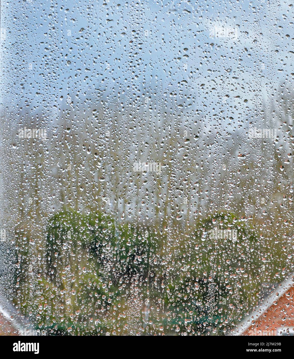 Regentropfen auf einem Fenster. Stockfoto