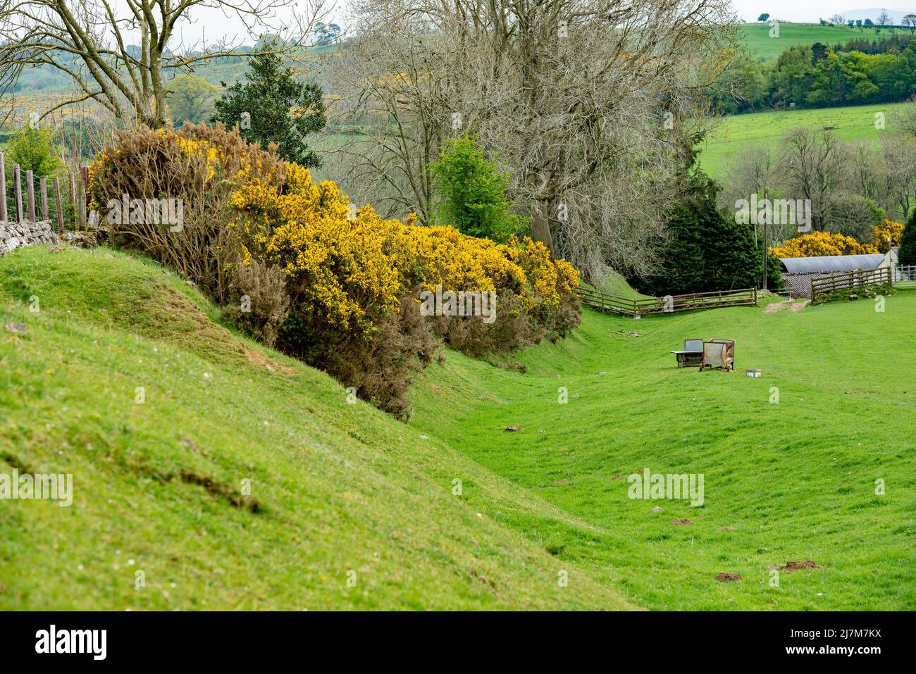 Ein Abschnitt von Offa's Dyke, Selattyn, Oswestry, Shropshire, Großbritannien. Stockfoto