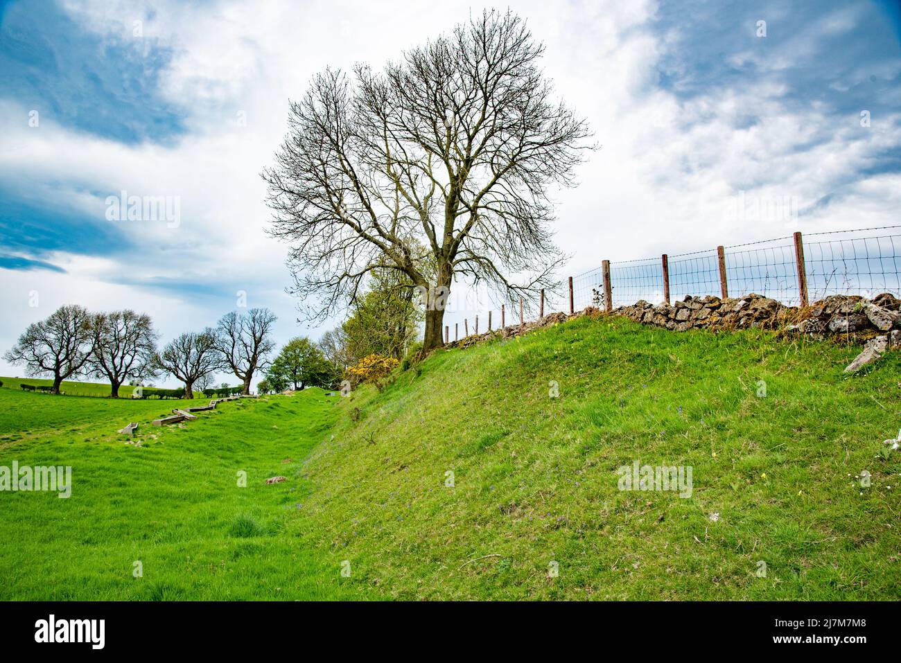 Ein Abschnitt von Offa's Dyke, Selattyn, Oswestry, Shropshire, Großbritannien. Stockfoto
