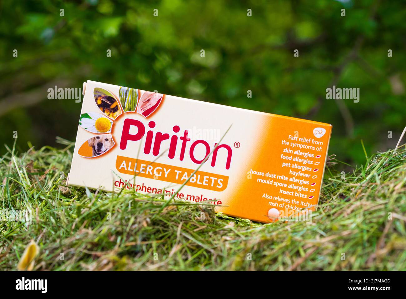 Eine Kiste mit Piriton-Allergietabletten in einer Außenumgebung mit Gras, Grashalme vor der Kiste Stockfoto
