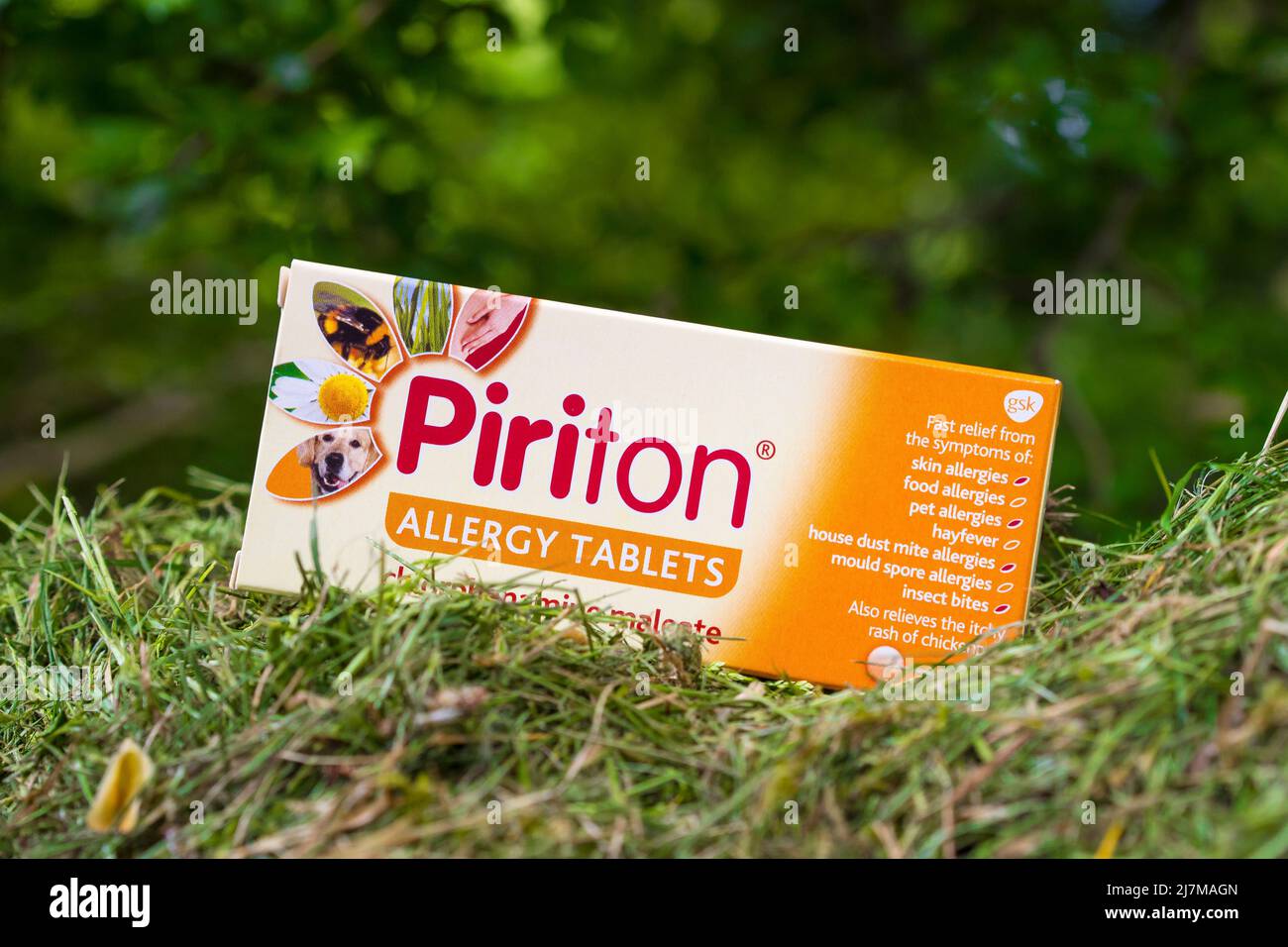 Eine Schachtel mit Piriton-Allergietabletten in einer Außenumgebung mit Gras Stockfoto