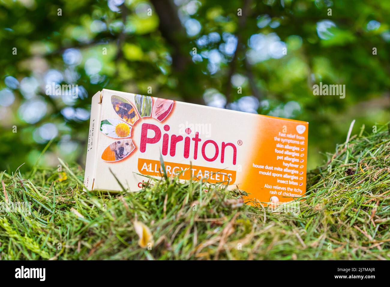 Eine Schachtel mit Piriton-Allergietabletten in einer Außenumgebung mit Gras Stockfoto