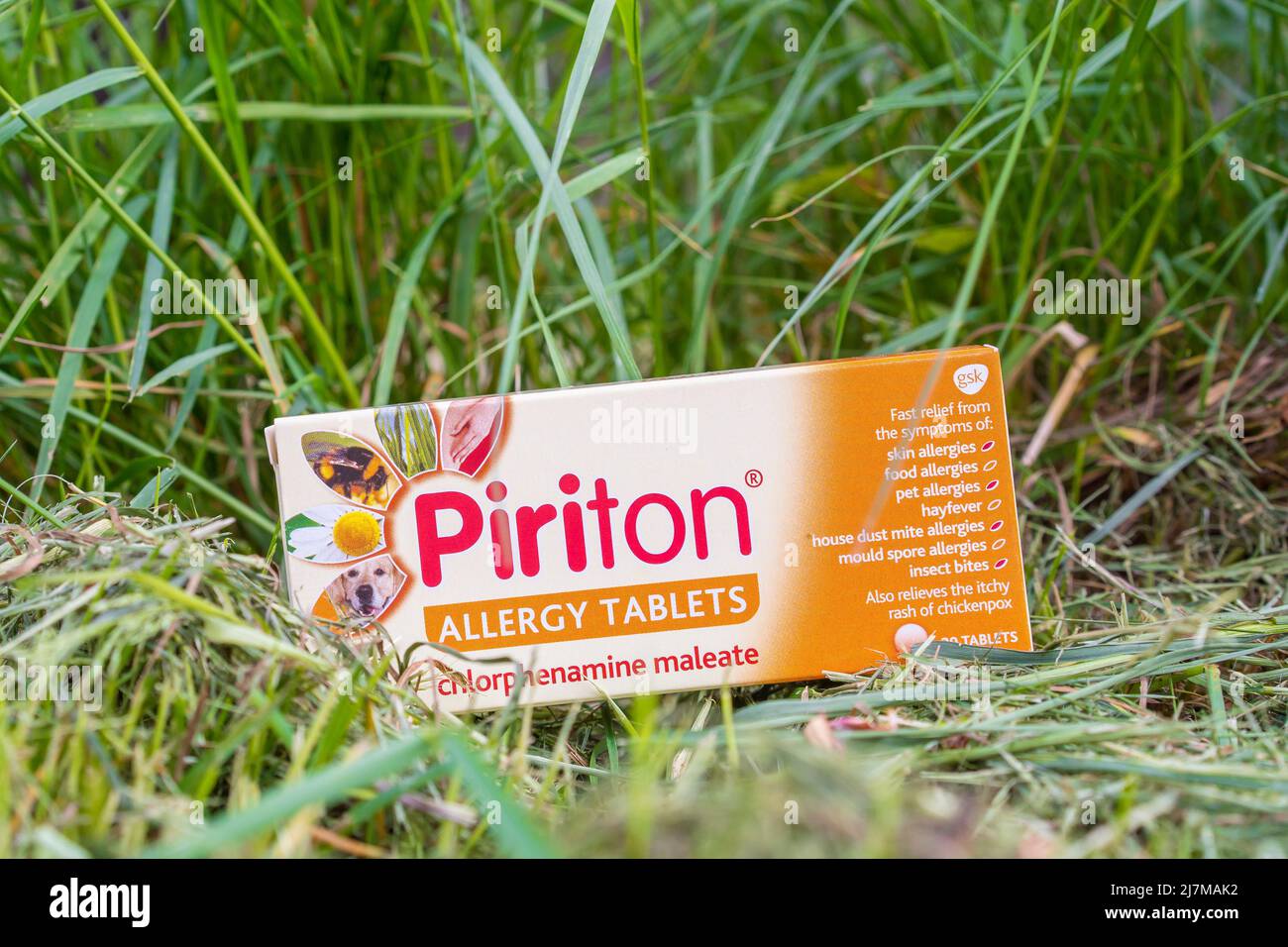 Eine Schachtel mit Piriton-Allergietabletten in einer Außenumgebung mit Gras Stockfoto