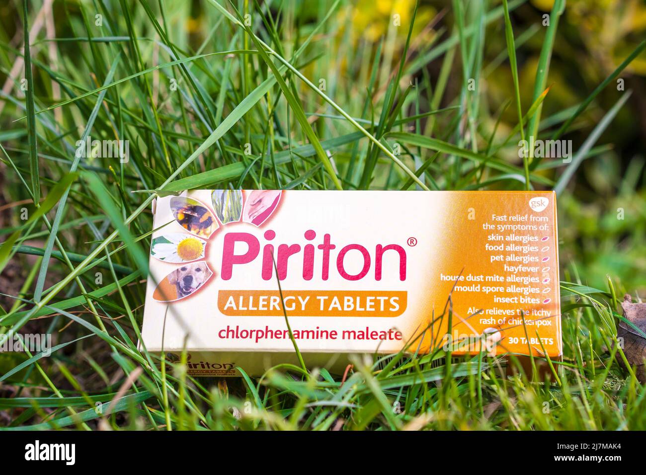 Eine Schachtel mit Piriton-Allergietabletten in einer Außenumgebung mit Gras Stockfoto