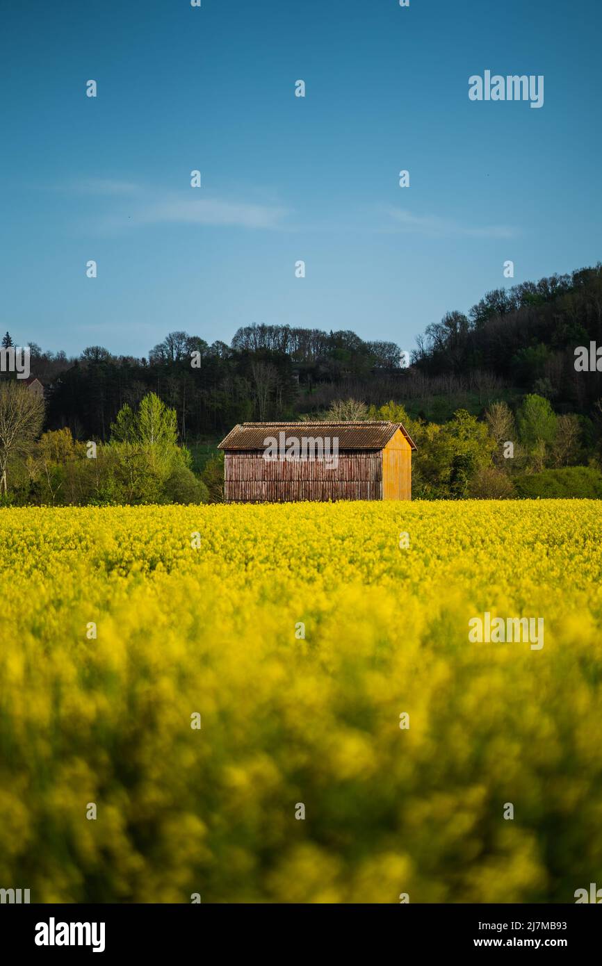 Ein verlassener Schuppen in einer bunten Frühlingslandschaft mit blauem Himmel Stockfoto