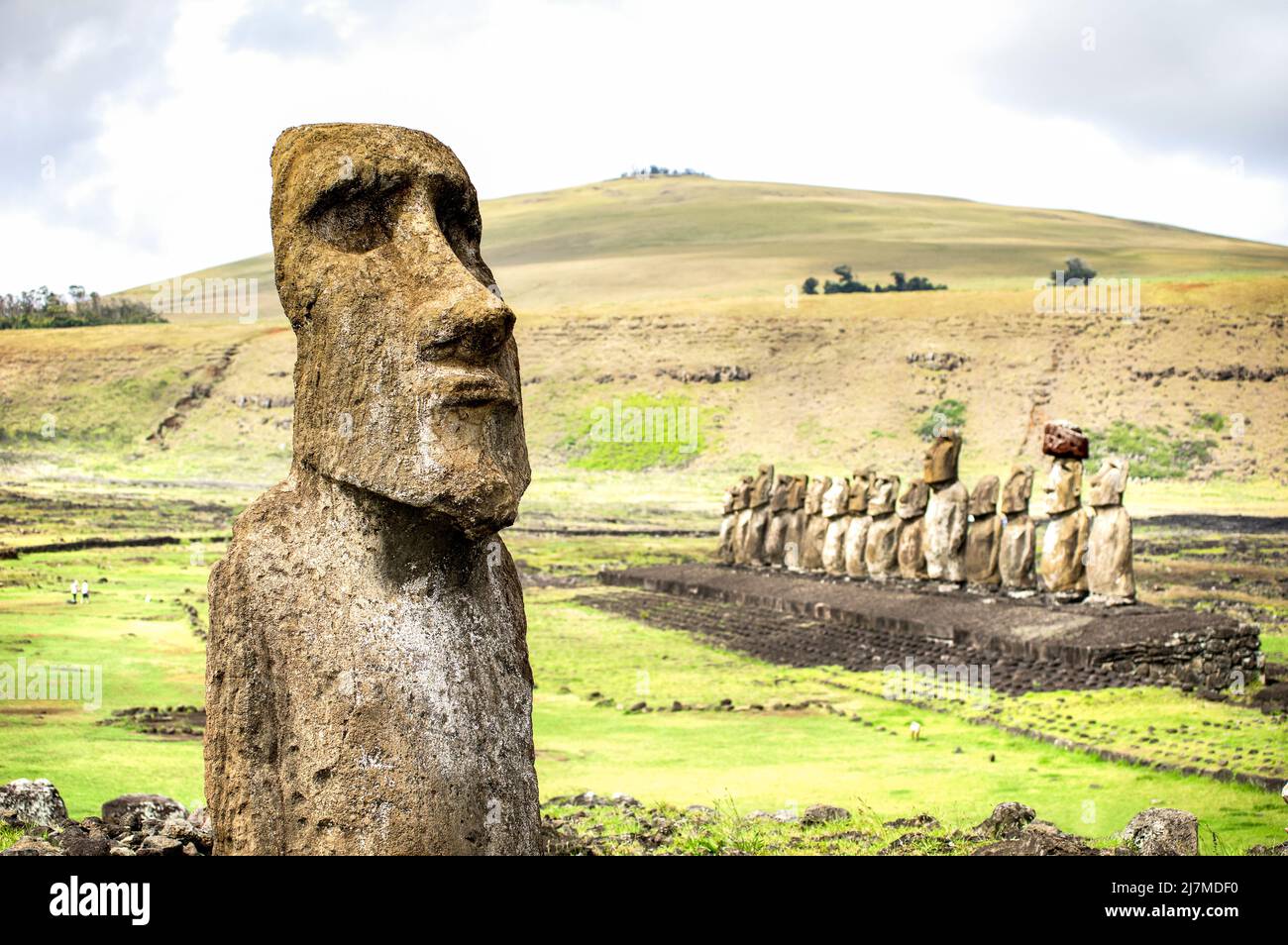 Nahaufnahme von Moai Ha'ere Ki Haho ' die Wanderstatue ' am Eingang des Ahu Tongariki Spot Area auf der weltberühmten Osterinsel in Chile - Travel wa Stockfoto