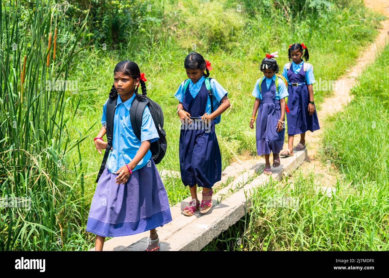 Gruppe von Mädchen Kinder gehen zur Schule durch Balancingon Brücke aus elektrischen Umfragen im ländlichen Indien - Konzept der Sicherheit, Bildung und Aspiration Stockfoto
